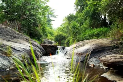 guthi-22.jpg