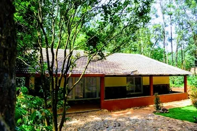 shadow-shelter-21.jpg