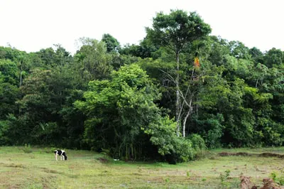 shanthinikethana-17.jpg
