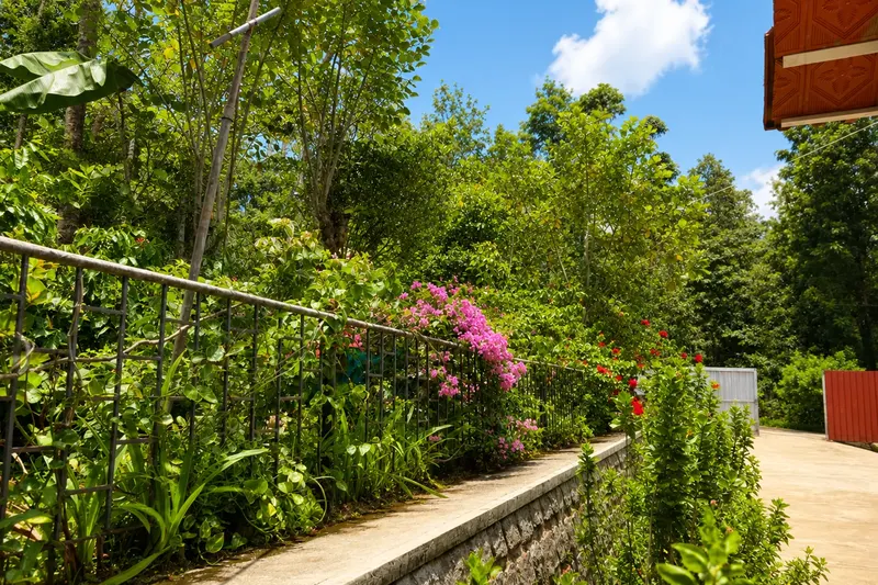 Shanthagiri-Homestay-32.webp