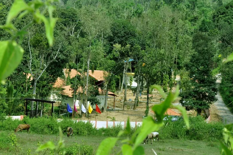 pathway-homestay-new-photos-22.jpg