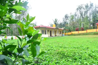 Wildcat Cottage