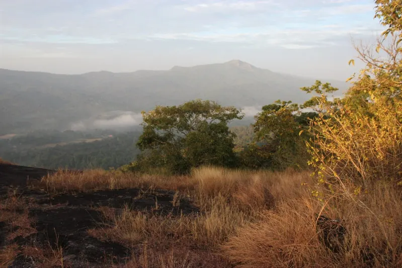 room-n-roof-homestay-advisor-chikmagalur-1.jpg