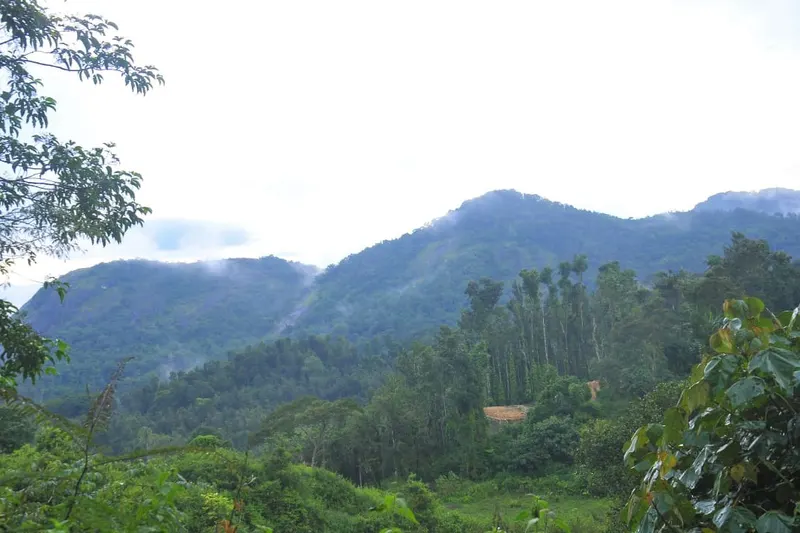room-n-roof-homestay-advisor-chikmagalur-1.jpg