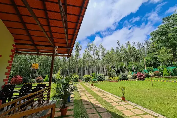 19.webp
