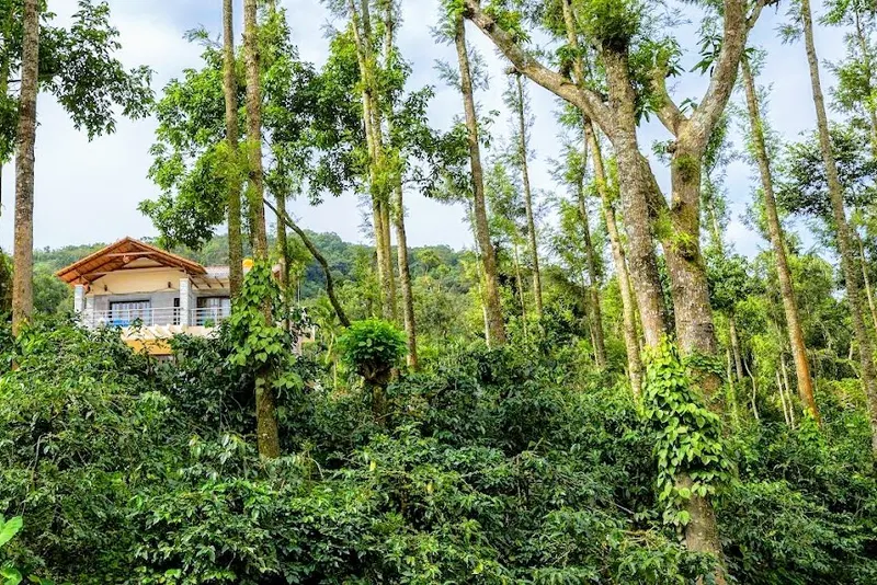 Honeyrock_Homestay_Bungalow_2.1.jpg