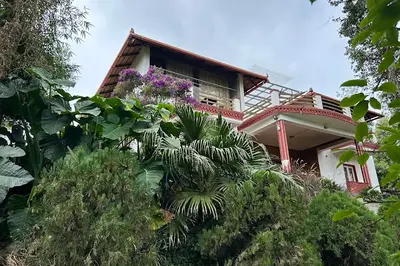 Home Green