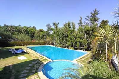 Real Paradise