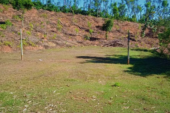 gowdahalli-forest-homestay-1.jpg