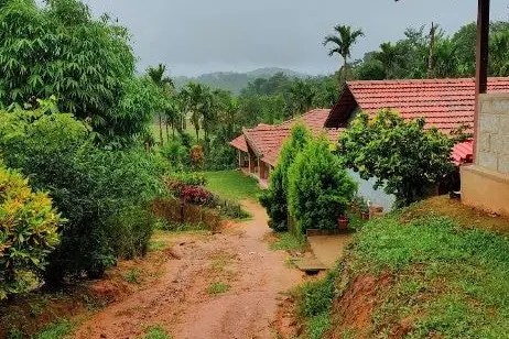 gowdahalli-forest-1_orig.jpg