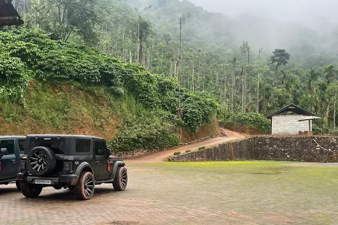11.webp