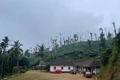 Canary Homestay