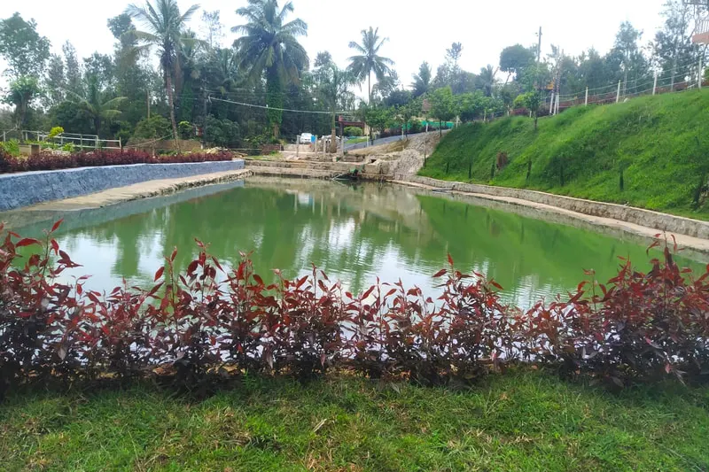 water-view-homestay-homestay-advisor-chikmagalur-20_1.jpg