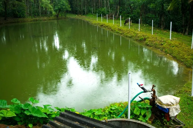 water-view-homestay-homestay-advisor-chikmagalur-6_1.jpg