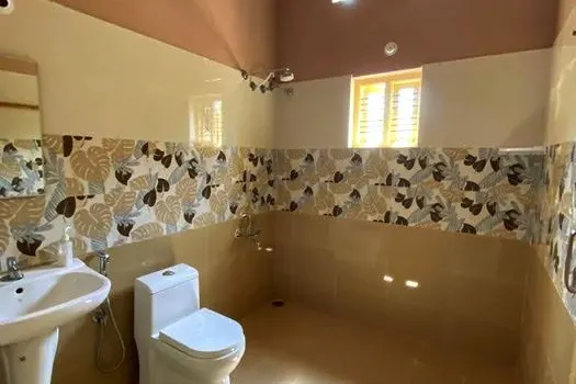 11.jpeg