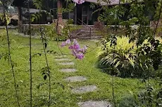 unnamed_32.webp