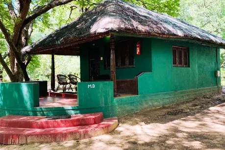 6.jpeg
