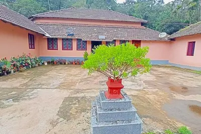 Jelly Palm Homestay