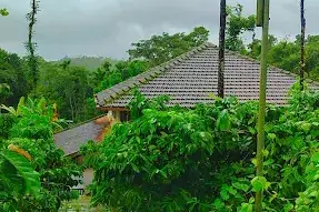 Cosmos Homestay