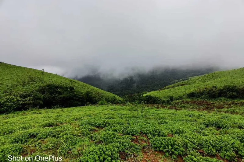 dragon-dive-homestay-advisor-chikmagalur-12_orig.jpeg