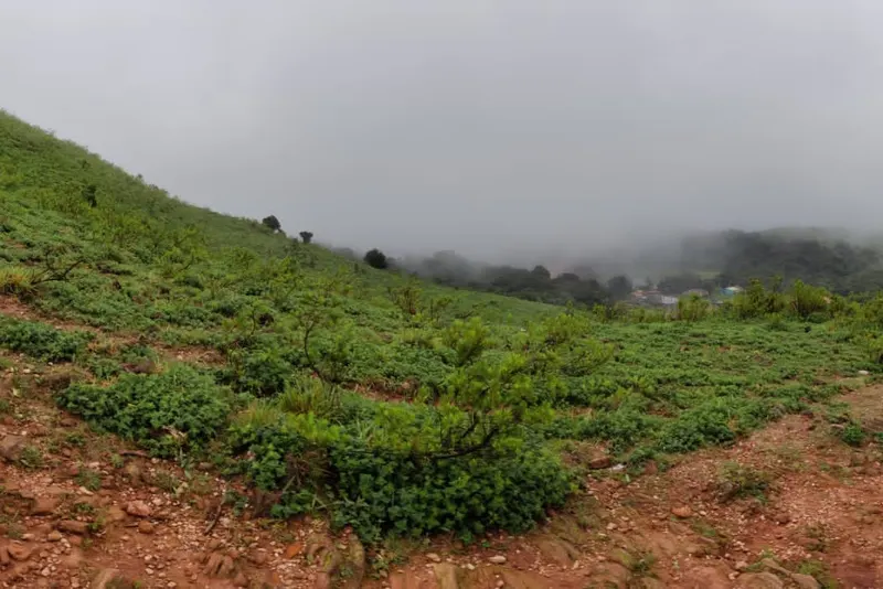 dragon-dive-homestay-advisor-chikmagalur-14_orig.jpeg
