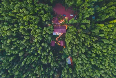 Hill View Homestay