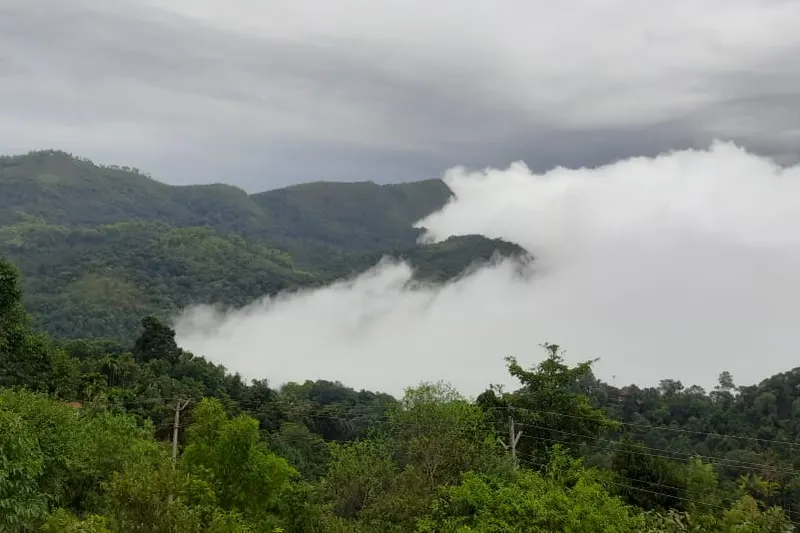 remote-forest-cottage-kudremukha-9.jpg