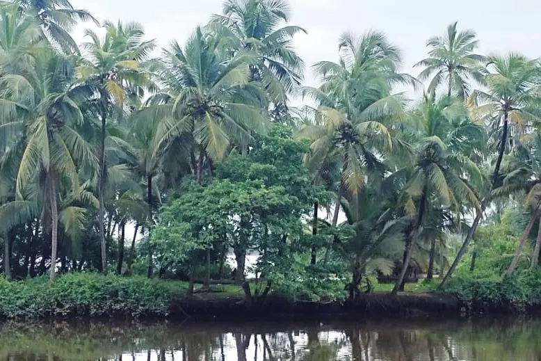 castle-homestay-advisor-udupi-6_orig.jpeg