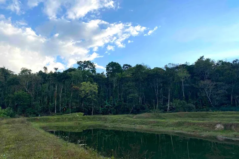 spot-homestay-ha-sakleshpura-22_orig.jpeg