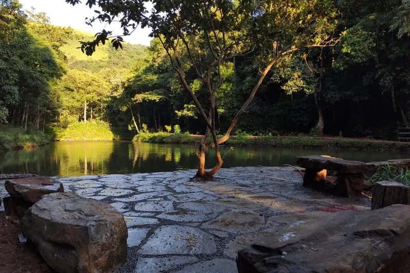 earthbound-retreat-ha-sakleshpura-3_orig.jpeg