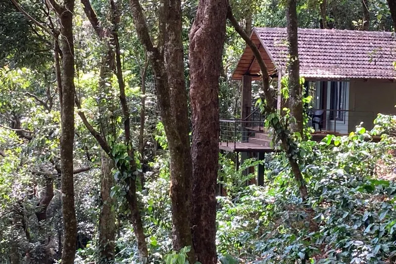 earthbound-retreat-ha-sakleshpura-5_orig.jpeg