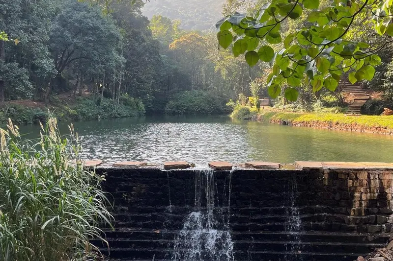 earthbound-retreat-ha-sakleshpura-12_orig.jpeg