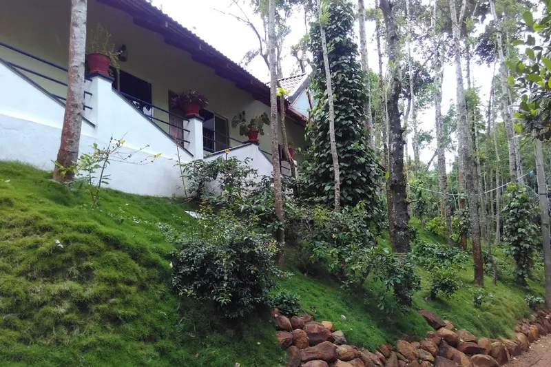 flax-homestay-advisor-chikmagalur-16_orig.jpg