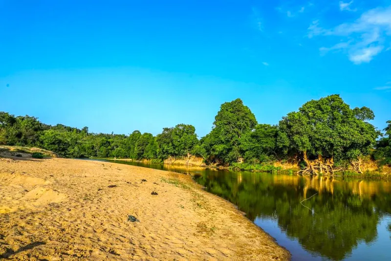 star-light-homestay-sakleshpur-homestay-advisor-6_orig.jpg