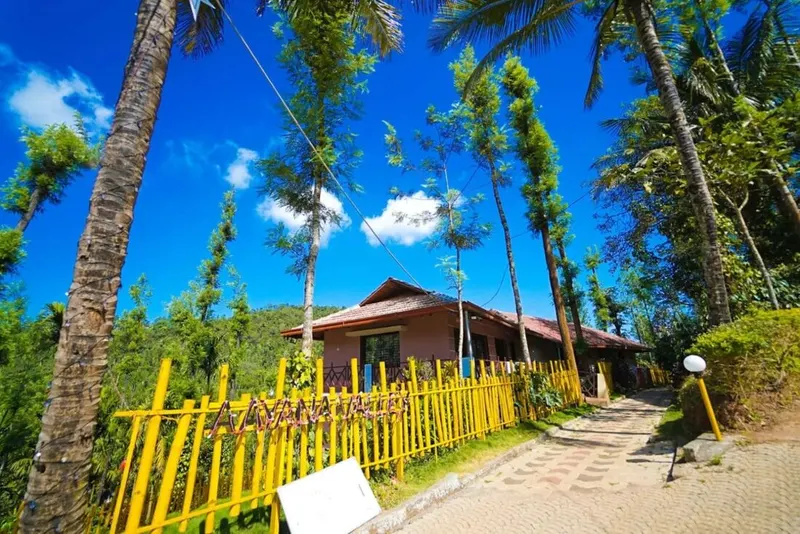 buckwheat-resort-mudigere-5_orig.jpg