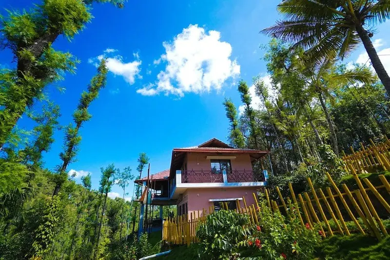 buckwheat-resort-mudigere-12_orig.jpeg