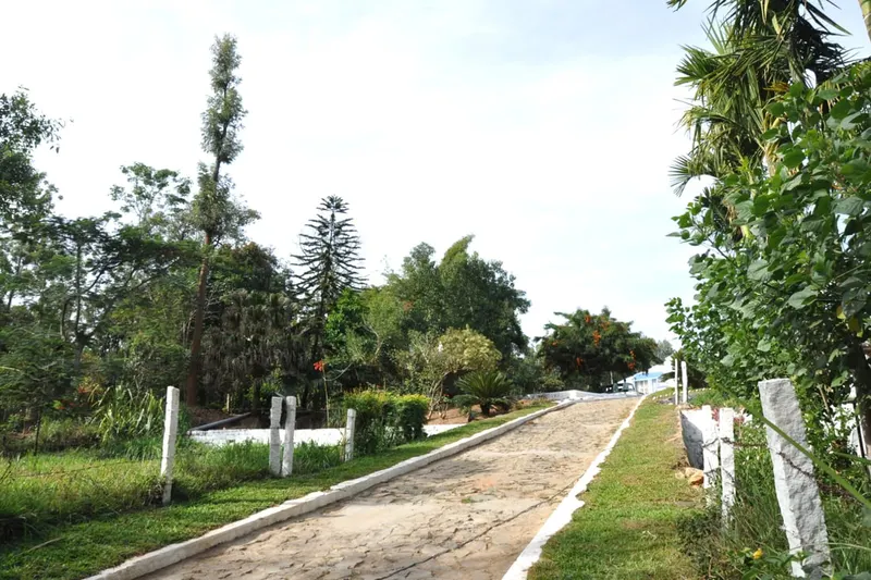 magic-manor-homestay-advisor-chikmagalur-6_orig.jpeg