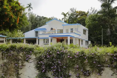 Magic Manor