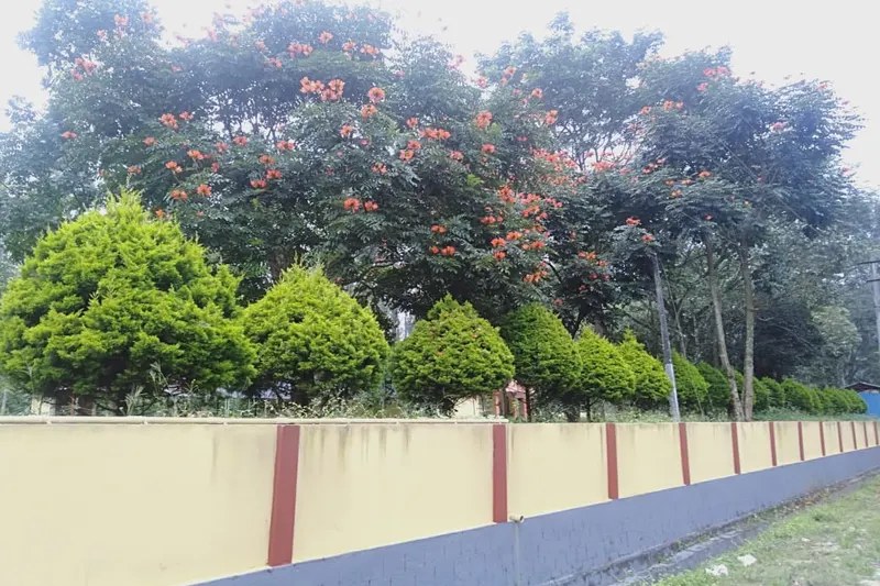 mace-homestay-chikmagalur-22_orig.jpeg