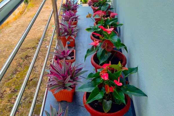 mace-homestay-chikmagalur-25_orig.jpeg