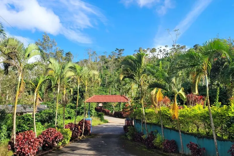 magic-villa-homestay-advisor-mudigere-26_orig.jpg