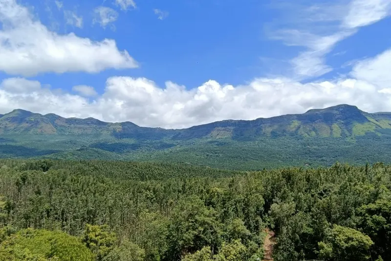 deck-chikmagalur-1_orig.jpeg