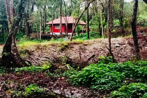 homestead-heaven-sakleshpura-7_orig.jpeg