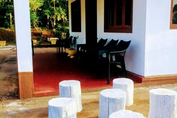mithun-8.jpg