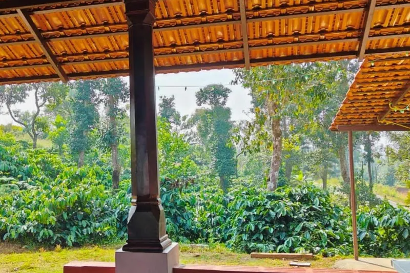 herbal-homestay-23_orig.jpg