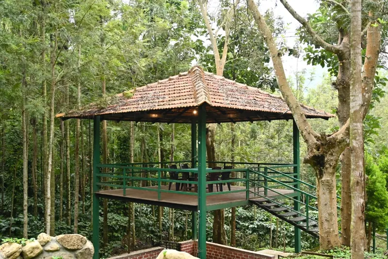 pine-ridge-homestay-22_orig.jpeg