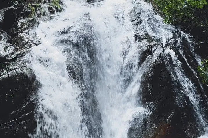 evergreen-escapes-homestay-advisor-kalasa-6_2_orig.jpeg