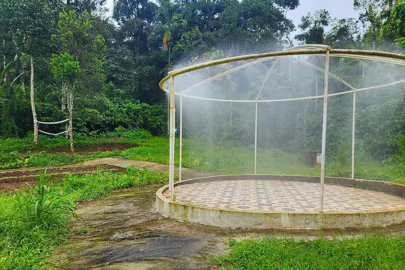 calm-water-retreat-homestay-advisor-sakleshpura-20_1_orig.png