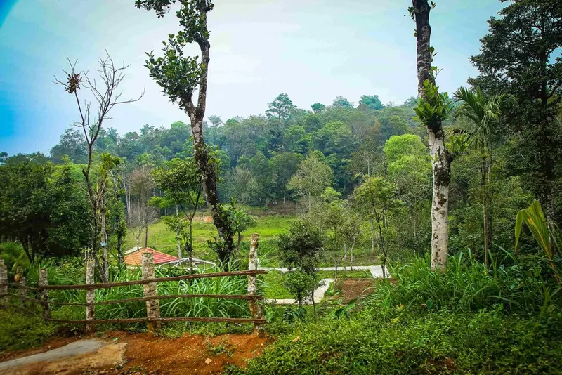 calm-water-retreat-homestay-advisor-sakleshpura-6_1_orig.jpg
