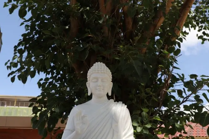 splendour-getaway-chikmagalur-homestay-advisor-34_orig.jpeg